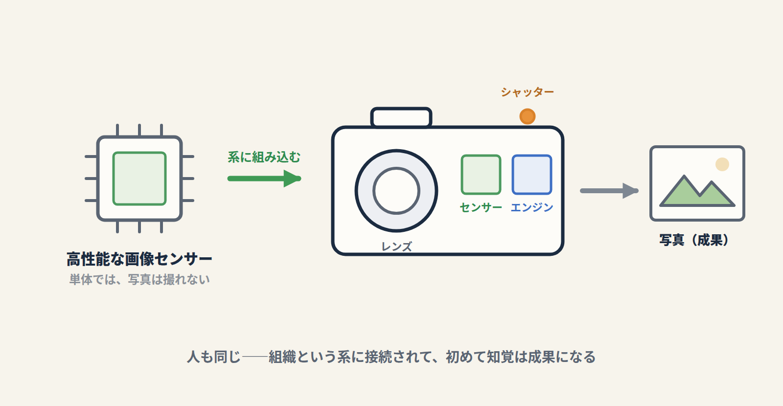 fig1